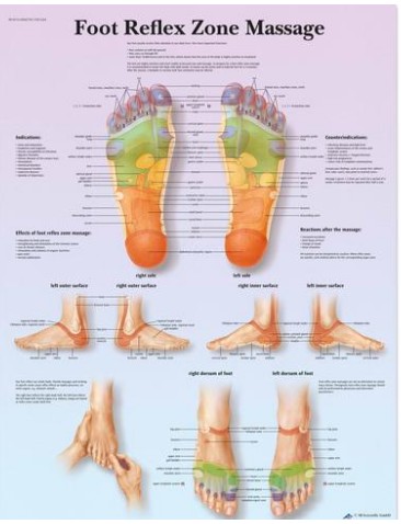 img1043 Charts: Foot Reflex Zone Massage Chart