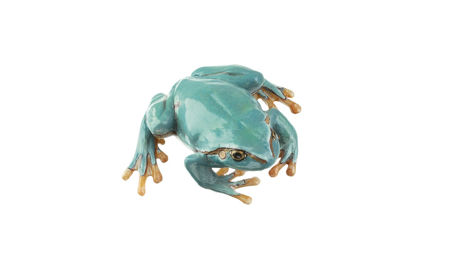 img2883 Stromové žáby: Somso Rosnička zelená, samička, světle modrá