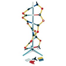 img540 DNA: Orbit™ Small DNA