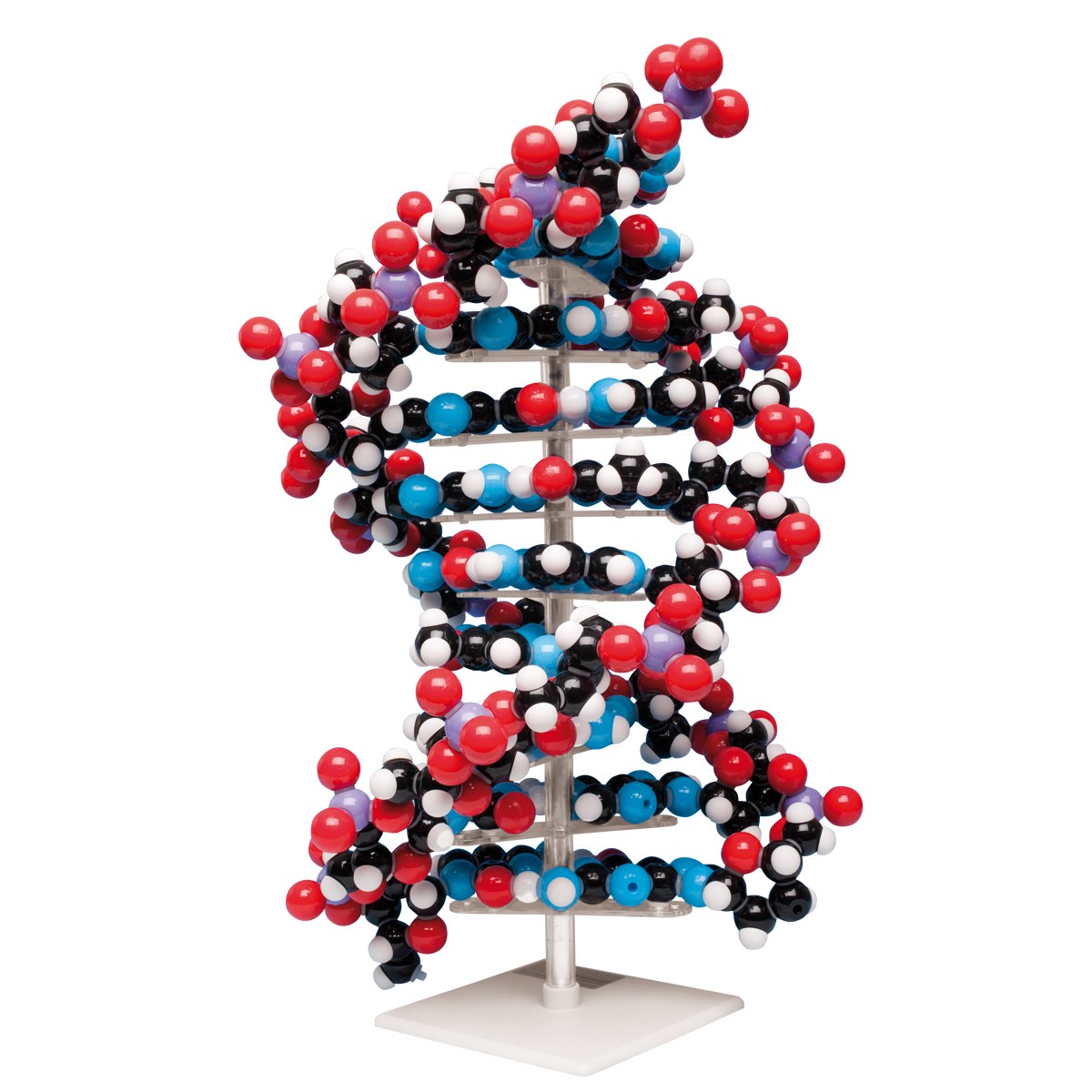 img825 DNA: Desetivrstvý model DNA