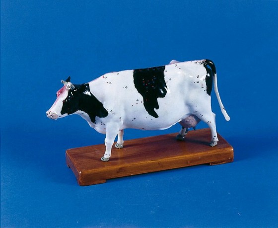 img1367-2