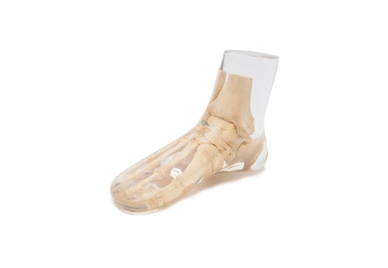 img1572-2_560x560 image img1572-2