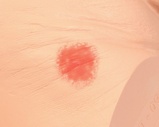 img2065-4